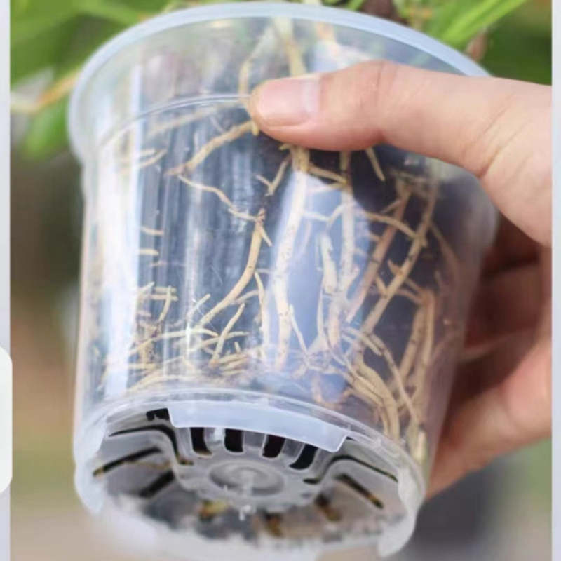 Саксия за цветя Phalaenopsis от смола — прозрачна и здрава, подова употреба, прост стил, подходяща за домашно градинарство и балкон, с интегрирана технология.