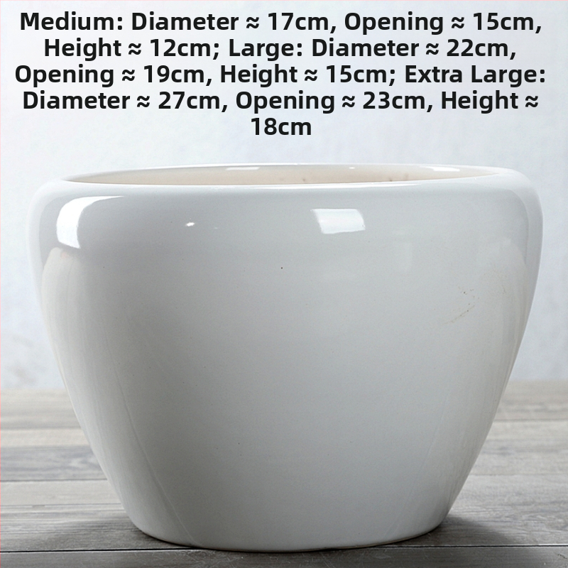 Keraminis gėlių vazonas, stovintis ant grindų, korozijai atsparus, namų sodo naudojimui