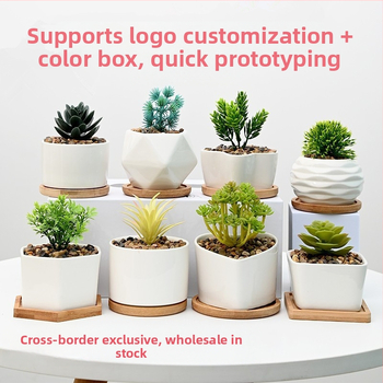 Keraamiline lillepott logotüübi trükiga; lihtne portselani disain; sobib laua- või põrandakasutuseks; poolmanuaalne tootmisprotsess.