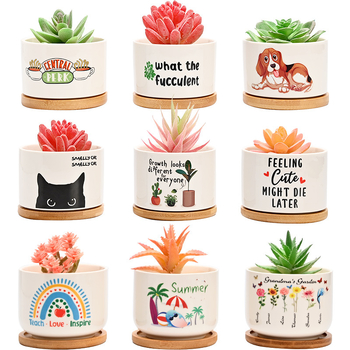 Керамична саксия за цветя с печат на лого; прост дизайн от порцелан; подходяща за настолен и подов монтаж; полуручна изработка.