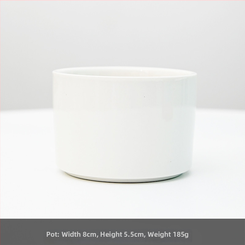 Keraamiline lillepott logotüübi trükiga; lihtne portselani disain; sobib laua- või põrandakasutuseks; poolmanuaalne tootmisprotsess.