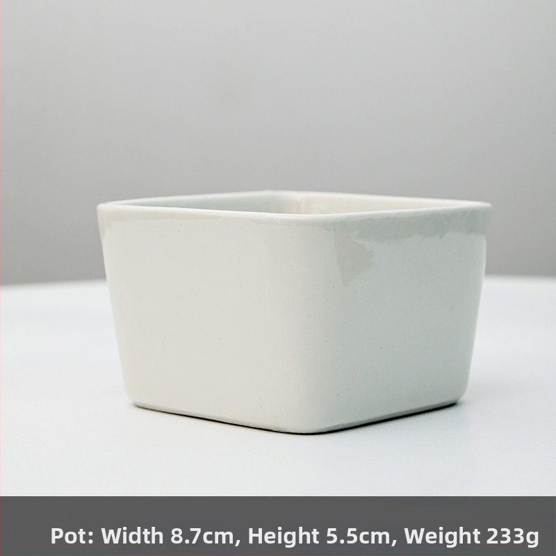 Keraamiline lillepott logotüübi trükiga; lihtne portselani disain; sobib laua- või põrandakasutuseks; poolmanuaalne tootmisprotsess.