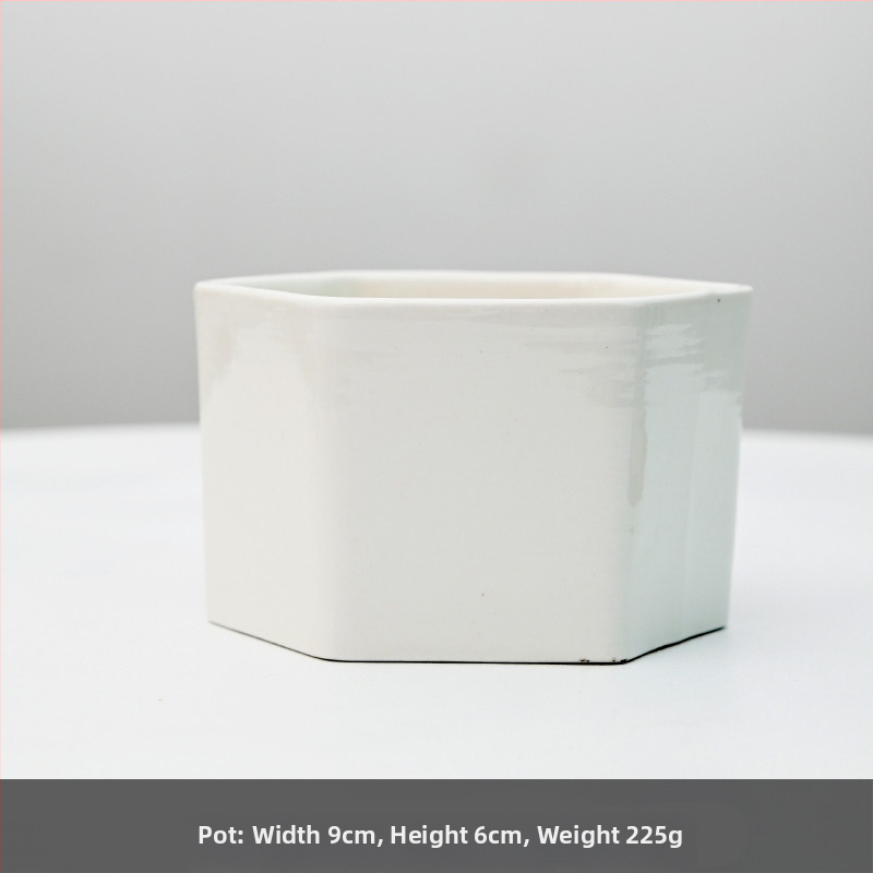 Keraamiline lillepott logotüübi trükiga; lihtne portselani disain; sobib laua- või põrandakasutuseks; poolmanuaalne tootmisprotsess.