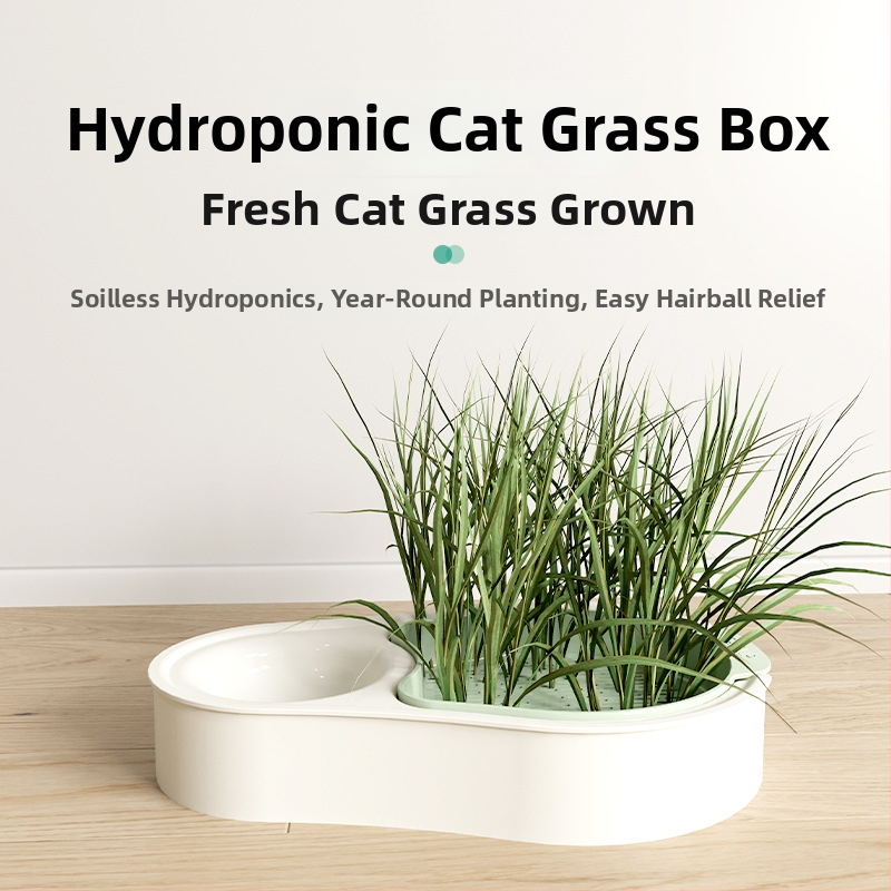 Υδροπονικός δίσκος σπορείων γάτας, χωρίς χώμα, υλικό PP, σετ 50 τεμάχια