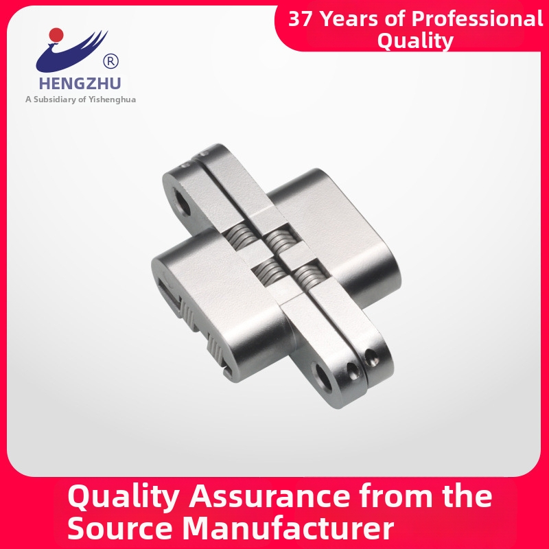 HL164-2 paslėptas durų vyris, cinko lydinys, elektroplatinė danga, įprastas storas vyris, šiuolaikinis minimalistinis stilius