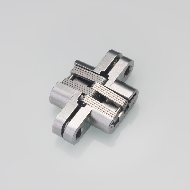 HL164-2 paslėptas durų vyris, cinko lydinys, elektroplatinė danga, įprastas storas vyris, šiuolaikinis minimalistinis stilius