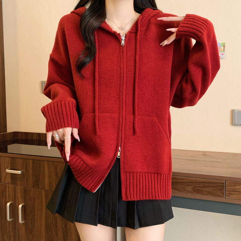 Megztinis su gobtuvu, dviejų krypčių užtrauktuku, šiltas ir tankus, poliesterio audinys