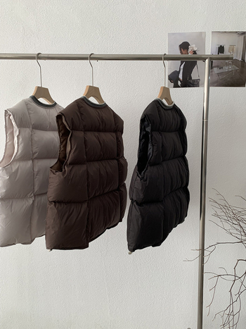 Be rankovių pūkinė liemenė su užtrauktuku, apvalus kaklo iškirptė, laisvas kirpimas, poliesterio viršus su pūko ir medvilnės užpildais, Žiema 2025