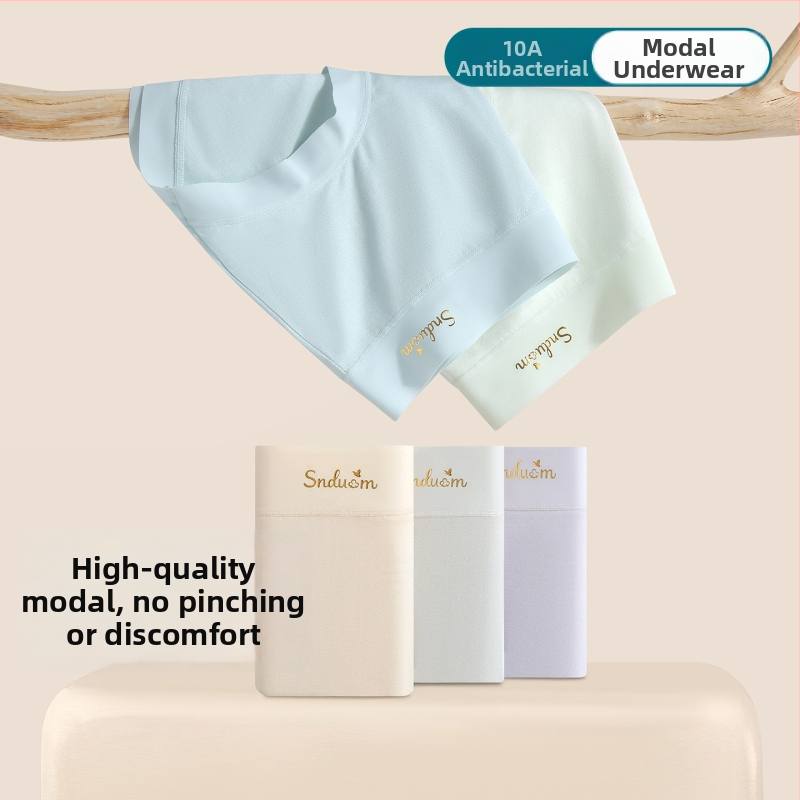 Moteriškos modalinės kelnaitės – vidutinė talija, kvėpuojančios, antibakterinės, medvilnės įdėklas kirkšyje