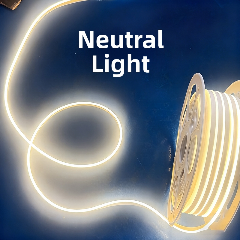 Neon LED juostelė 2835, 120 LED/m, IP65 atspari vandeniui, 8W, įėjimas 12-24-110-220V