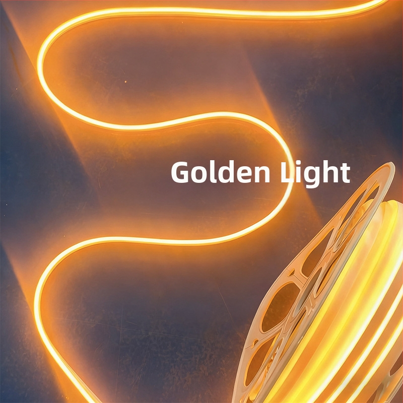 Neon LED juostelė 2835, 120 LED/m, IP65 atspari vandeniui, 8W, įėjimas 12-24-110-220V