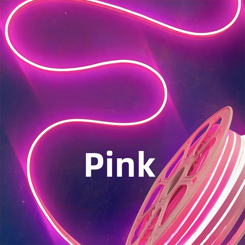 Neon LED juostelė 2835, 120 LED/m, IP65 atspari vandeniui, 8W, įėjimas 12-24-110-220V