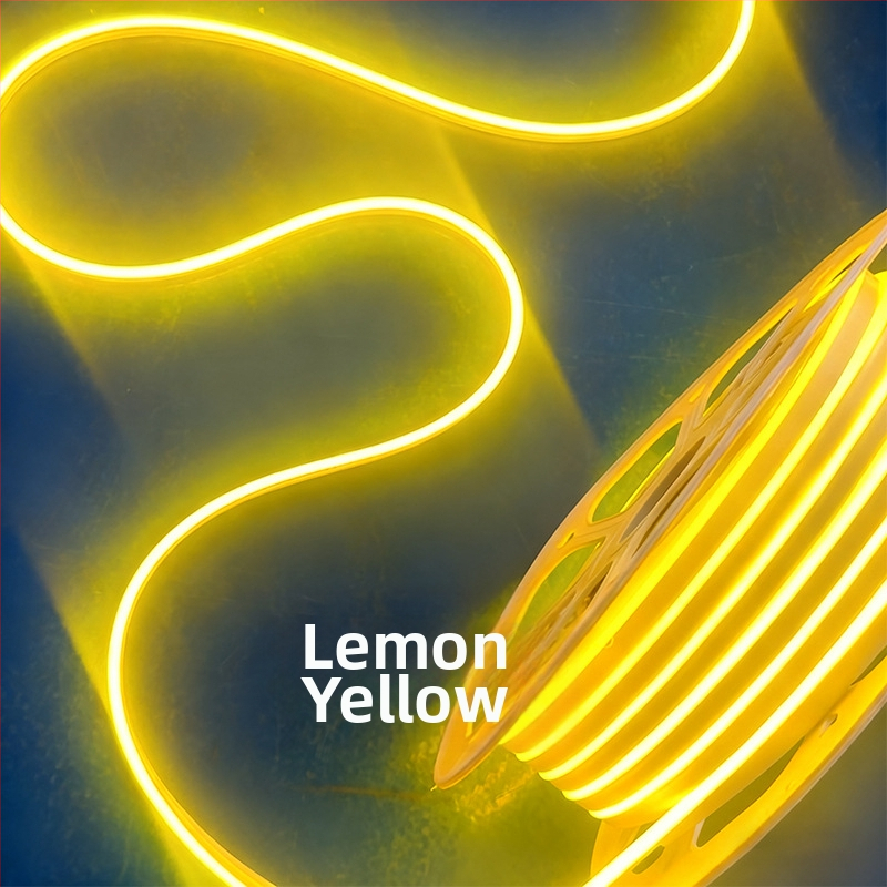 Neon LED juostelė 2835, 120 LED/m, IP65 atspari vandeniui, 8W, įėjimas 12-24-110-220V