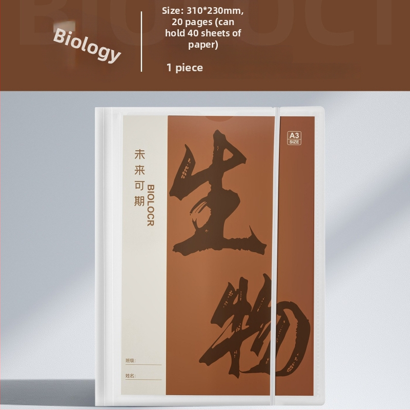 Plastikinė testinių lapų organizavimo byla su skaidriais įdėklais, modelis Hc-652, 20 pusl., storis 60, pritaikymas galimas