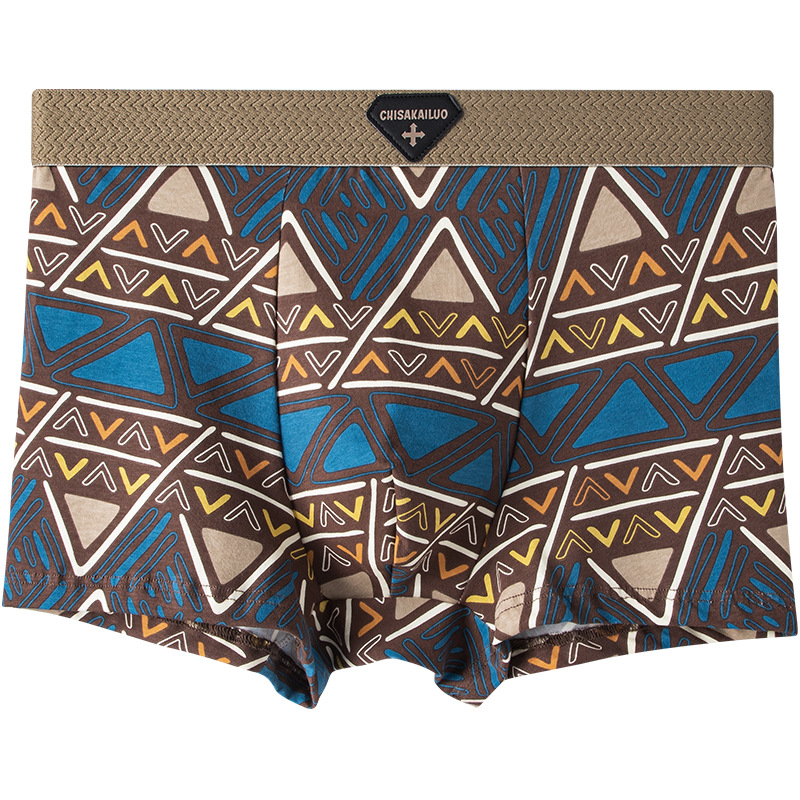 Vyriniai boxer šortai — 100% medvilnė, geometrinis raštas, vidutinio liemens aukštis, kvėpuojantys, greitai džiūstantys, antibakteriniai