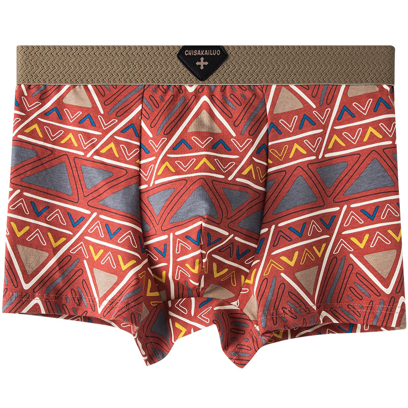 Vyriniai boxer šortai — 100% medvilnė, geometrinis raštas, vidutinio liemens aukštis, kvėpuojantys, greitai džiūstantys, antibakteriniai