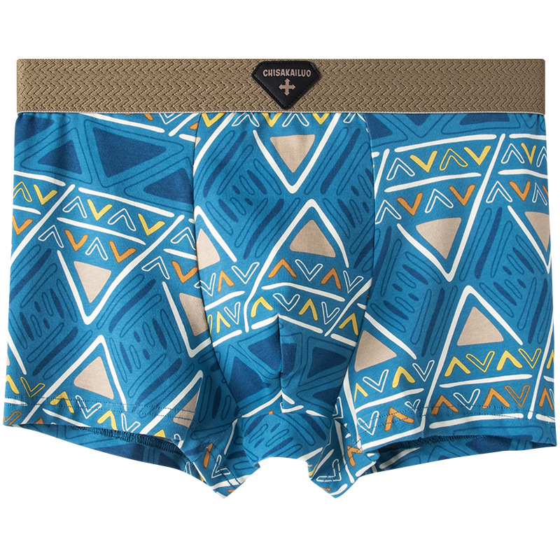 Vyriniai boxer šortai — 100% medvilnė, geometrinis raštas, vidutinio liemens aukštis, kvėpuojantys, greitai džiūstantys, antibakteriniai