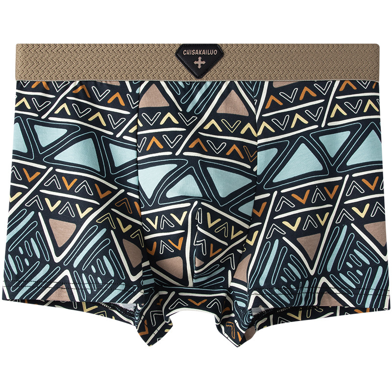 Vyriniai boxer šortai — 100% medvilnė, geometrinis raštas, vidutinio liemens aukštis, kvėpuojantys, greitai džiūstantys, antibakteriniai