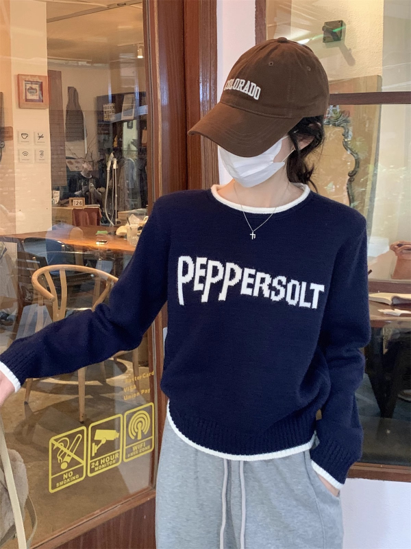 Poliesterski pleteni džemper s tekstnim uzorkom, kapuljača, okrugli izrez, dugi rukavi