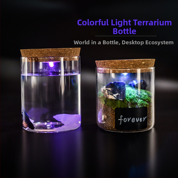 Valgustusega klaasist hoiukarp borosilikaatklaasiga - kõrge läbipaistvus, kork-kaas, käevõrude kuvamiseks, tolmukaitse