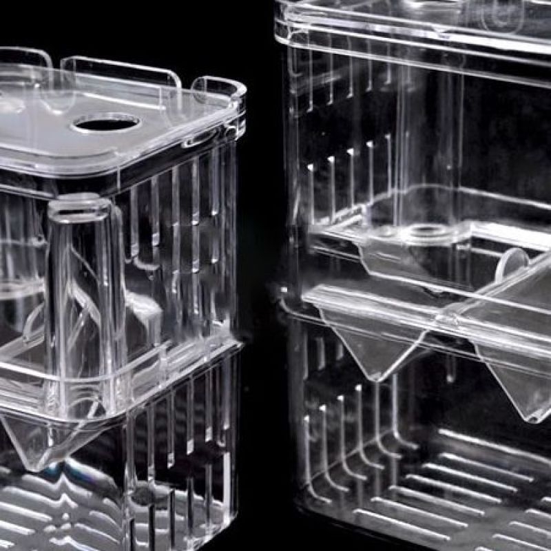 Изолираща кутия за гупи за развъждане, пластмасова инкубационна камера за риби и малки риби, аквариумно оборудване, №78432