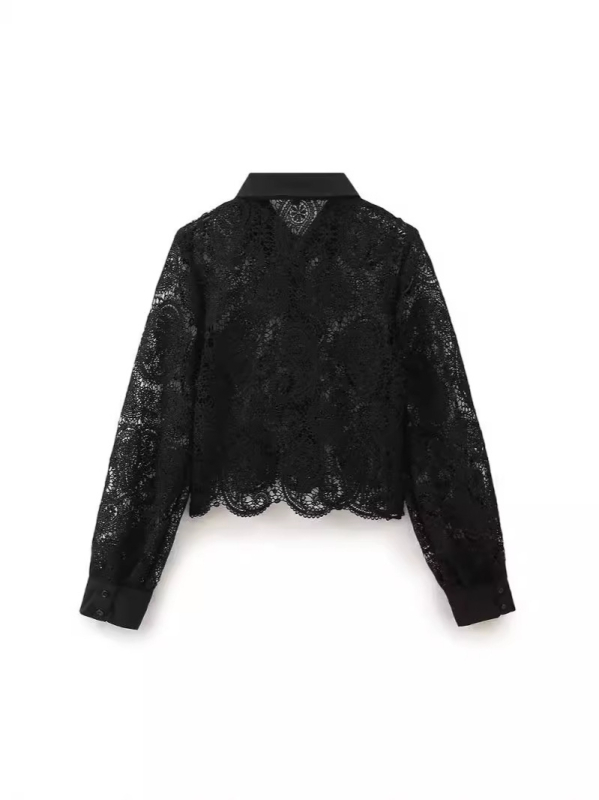 Särk õõnsa heegeldusega, krae särgi jaoks, tänavust stiili, normaalne lõige, 95% polüester