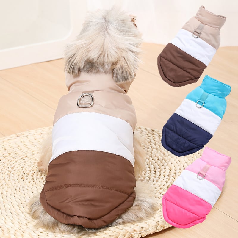 Нов елек за домашни любимци от Amazon за есен и зима, удебелен и с каишка, подходящ за малки и средни кучета от породата Теди