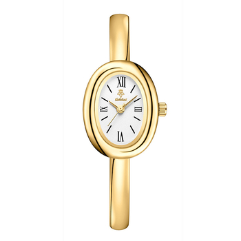 Naisekell ovaalse kujuga ja roostevabast terasest rihm, kvartsliikumine Chenlong 68, safiirkristall, veekindlus 30 m