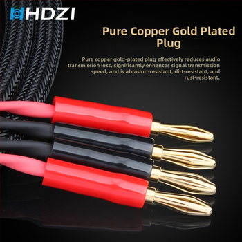 HiFi kõlarikaabel – kuldplaatin, hapnikuvaba vask tuum, puhas vask, mõeldud võimendi ja kõlarite ühendamiseks, CCC sertifikaat