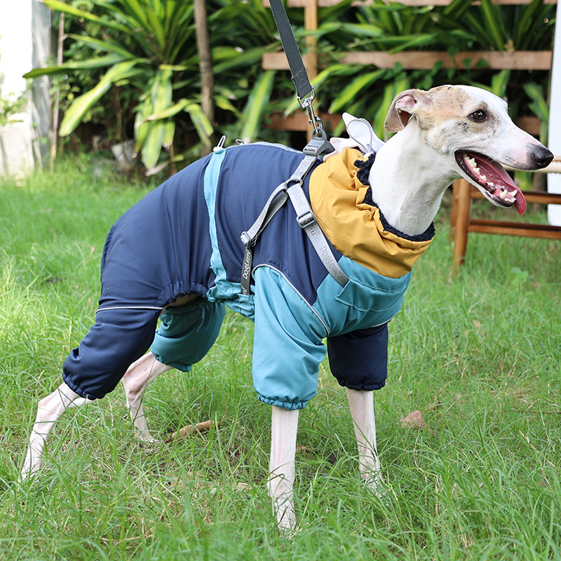 Lemmiklooma talvejope neljajalgses hai-stiiliga, polüesteri materjal, universaalne, rihmaga sobiv, bränd Doglemi