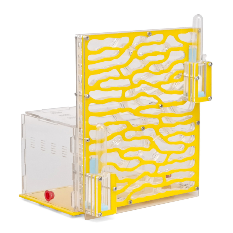 Акрилен дом за мравки: прозрачен дворец за катерене по дърво с екологична кутия (Материал: Акрил; DIY: Не; Възраст: 7–14; Електрически: Не; Интелектуално развитие)