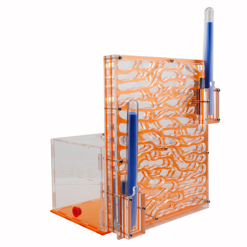 Акрилен дом за мравки: прозрачен дворец за катерене по дърво с екологична кутия (Материал: Акрил; DIY: Не; Възраст: 7–14; Електрически: Не; Интелектуално развитие)