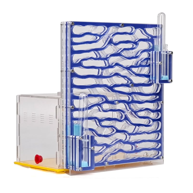 Акрилен дом за мравки: прозрачен дворец за катерене по дърво с екологична кутия (Материал: Акрил; DIY: Не; Възраст: 7–14; Електрически: Не; Интелектуално развитие)