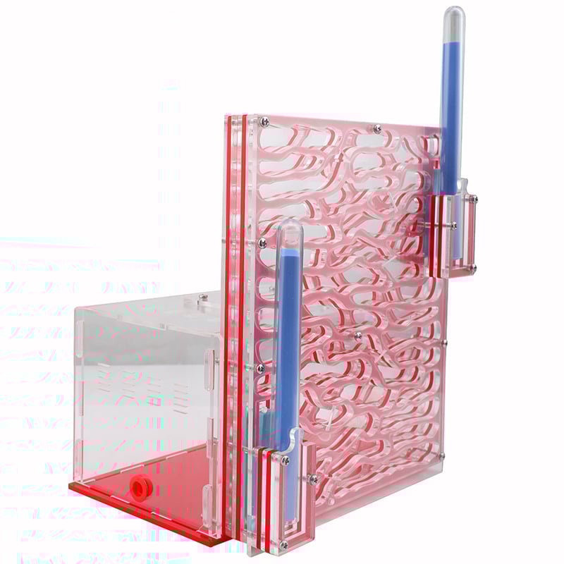 Акрилен дом за мравки: прозрачен дворец за катерене по дърво с екологична кутия (Материал: Акрил; DIY: Не; Възраст: 7–14; Електрически: Не; Интелектуално развитие)