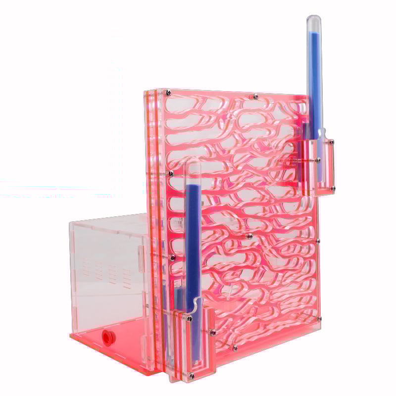 Акрилен дом за мравки: прозрачен дворец за катерене по дърво с екологична кутия (Материал: Акрил; DIY: Не; Възраст: 7–14; Електрически: Не; Интелектуално развитие)