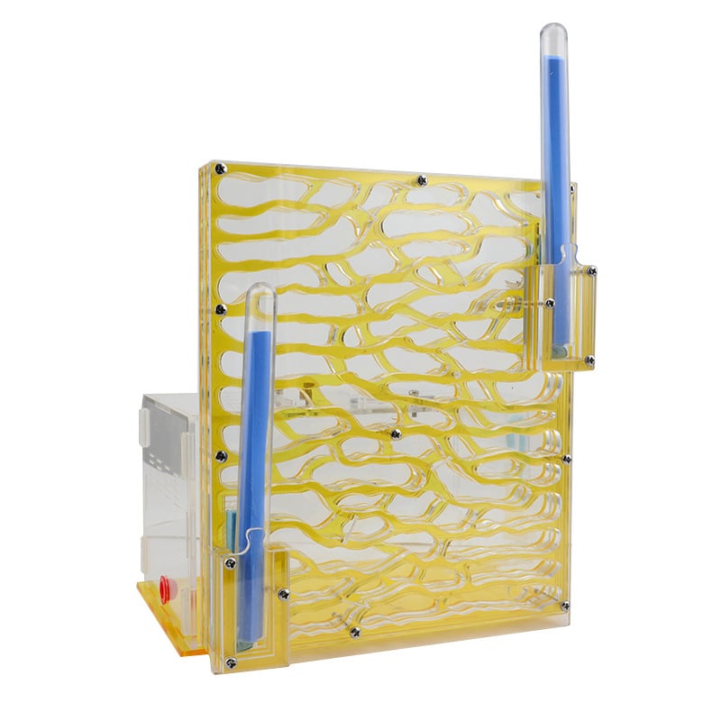 Акрилен дом за мравки: прозрачен дворец за катерене по дърво с екологична кутия (Материал: Акрил; DIY: Не; Възраст: 7–14; Електрически: Не; Интелектуално развитие)