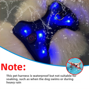 Koera rinnaosa – võrkkangas materjal, USB laadimine, öise nähtavuse LED-tule, tõmmatav