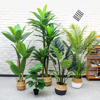 Вътрешен бонсай декоративно растение - пластмасов материал, релефна изработка, Brazil вариант (Марка: Couple crown; Приложение: сватби, реквизит за снимки, домашен декор)