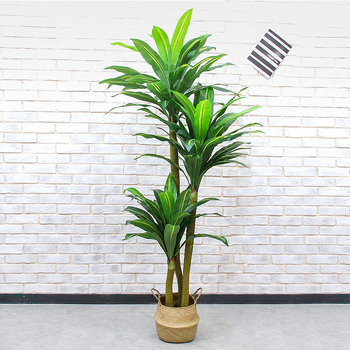 Вътрешен бонсай декоративно растение - пластмасов материал, релефна изработка, Brazil вариант (Марка: Couple crown; Приложение: сватби, реквизит за снимки, домашен декор)