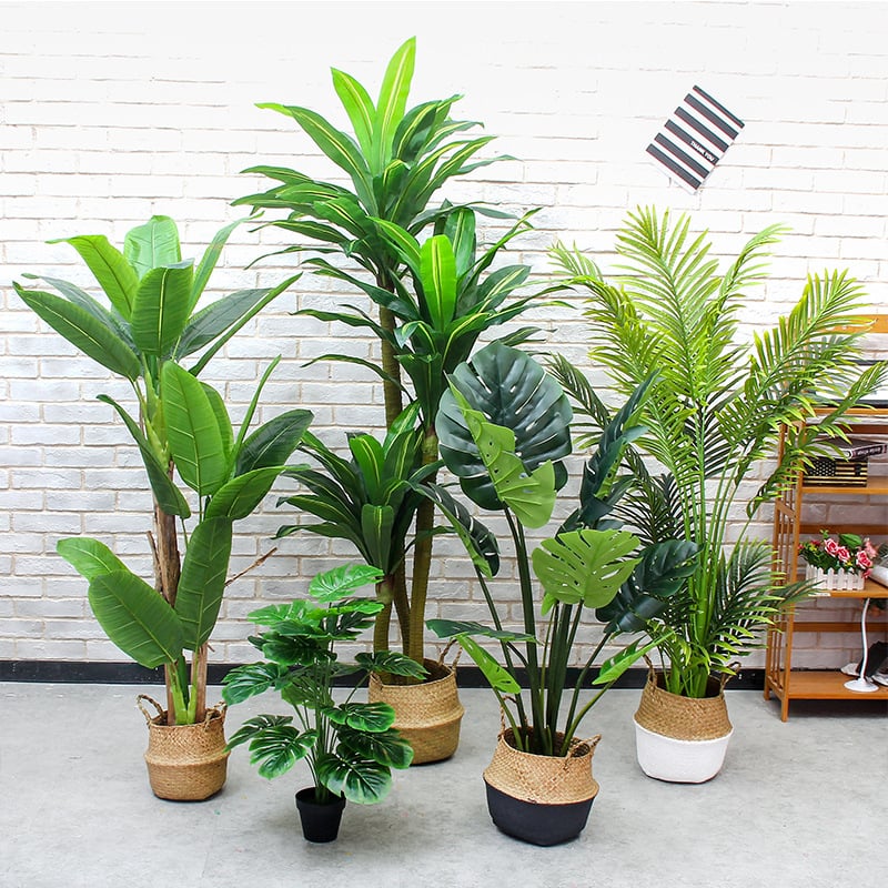 Вътрешен бонсай декоративно растение - пластмасов материал, релефна изработка, Brazil вариант (Марка: Couple crown; Приложение: сватби, реквизит за снимки, домашен декор)