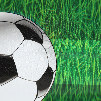 Jalgpalliteemaline murukate, fännikaunistus, veekindel ühekordne PE-kate, 137*274 cm