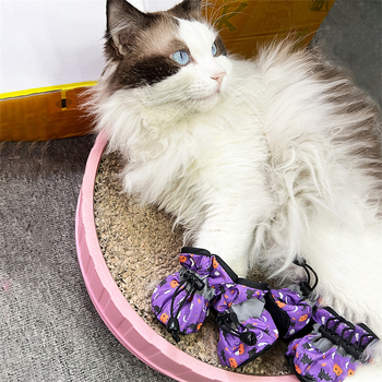 Crossborder Halloween navlake za cipele za kućne ljubimce medvjedića, bišona i male do srednje pse, za sva godišnja doba, set od 4 navlake za cipele s mekim potplatom, otporne na ogrebotine