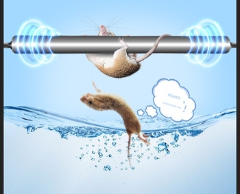 Автоматична ролкова ловушка за мишки за домашна употреба — без аромат, марка Fuguang