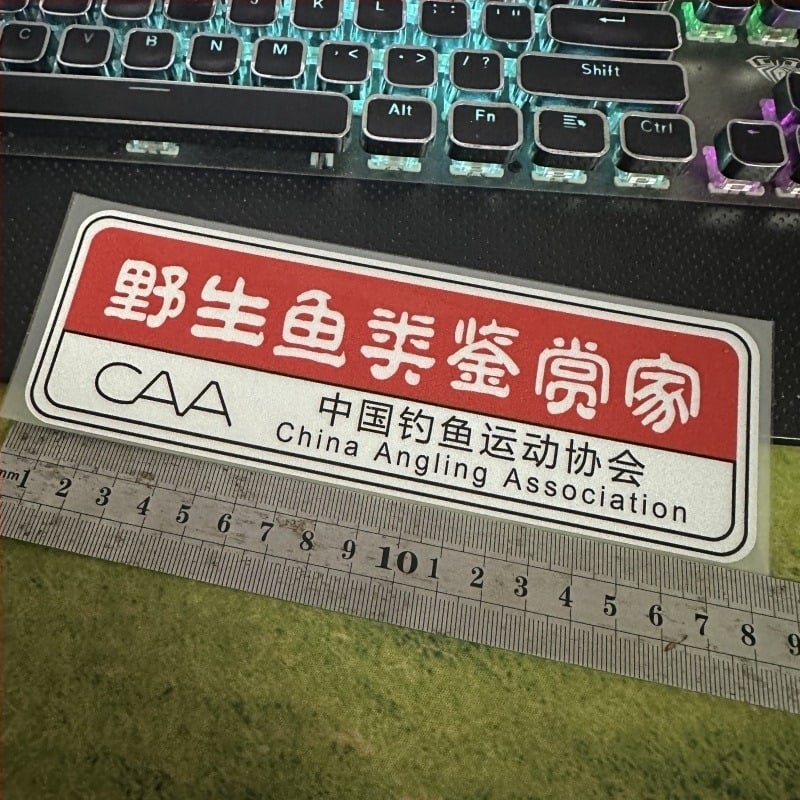 Магнитен автомобилен стикер, 3D материал, монтиране: магнитен тип, задна част на автомобила