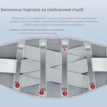 Колан за защита на кръста от полиестерни влакна, за възрастни, подходящ за общи спортове, 100 броя в опаковка