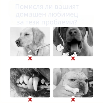 Pushino орална вода за освежаване на дъха, течна форма, общо приложение