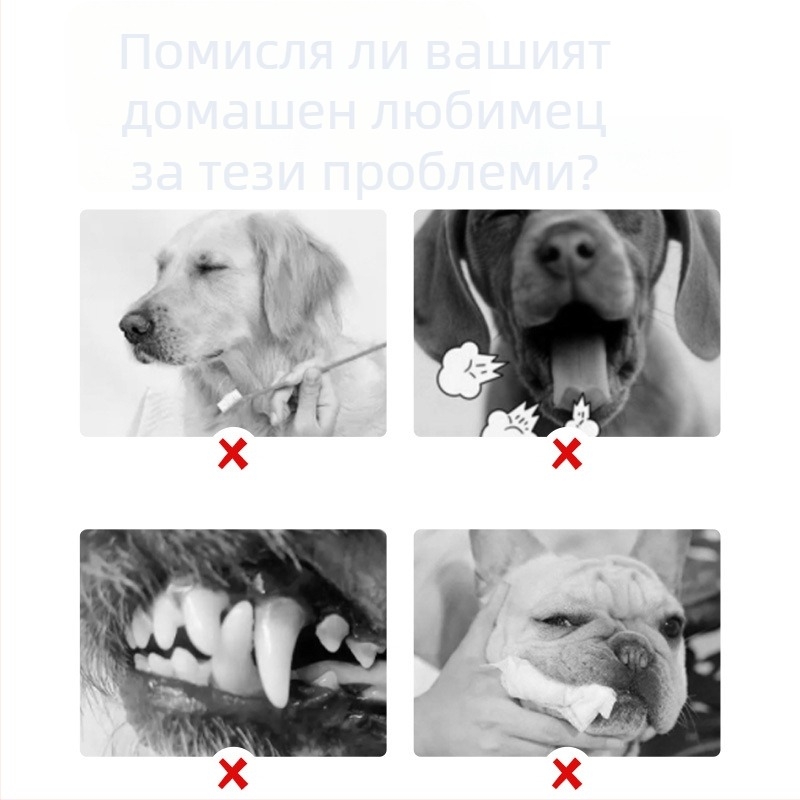 Pushino орална вода за освежаване на дъха, течна форма, общо приложение