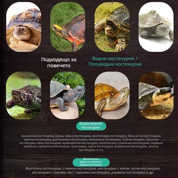 Гранулирана храна за костенурки – аквариумна храна за водни и сухоземни костенурки, не е внесена