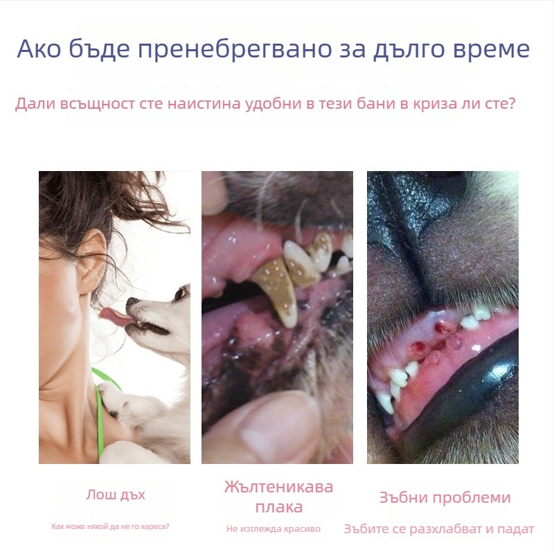 Зъбна паста за кучета — пародонтално здраве, марка Cherry Fragrance, опаковка 48 бр.