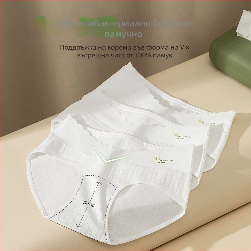 Памучно бельо за бременни – ниска талия, подкрепа за корема, дишащо, антибактериално, за целогодишно използване